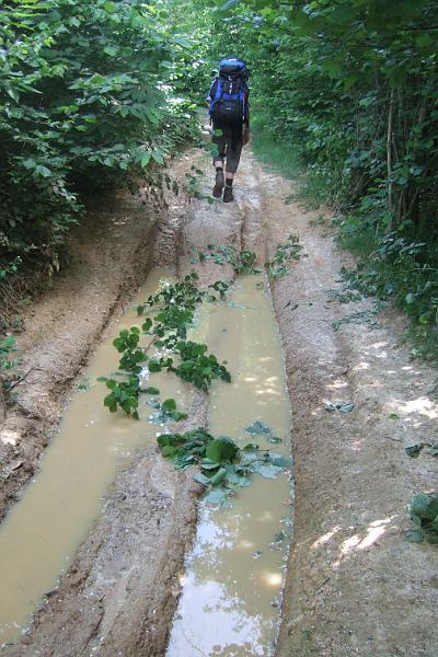 2011-05- (776).JPG